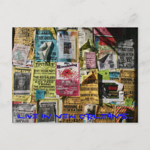 Carte Postale Live in New Orleans Postcard