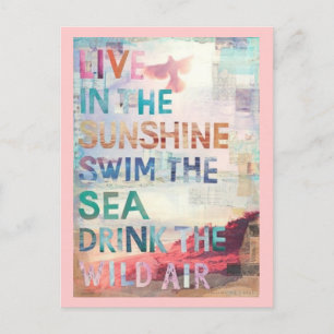 Carte Postale Live in the Sunshine