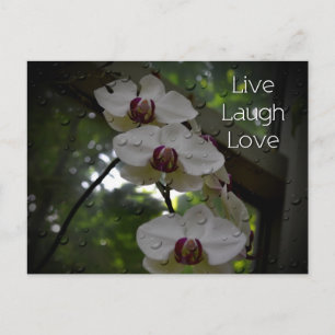 Carte Postale Live Laugh Love-Orchid