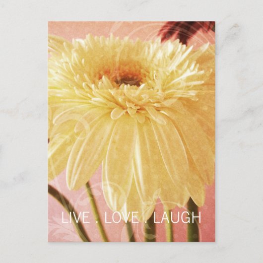 Carte Postale Live Love Laugh Gerbera Flower Grunge (Devant)