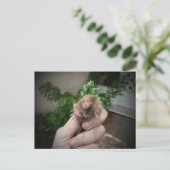 Carte Postale Live mole in hand smiling.jpg (Debout devant)