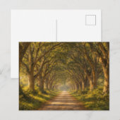 Carte Postale Live Oak Path | Landscape | Postcard (Devant / Derrière)