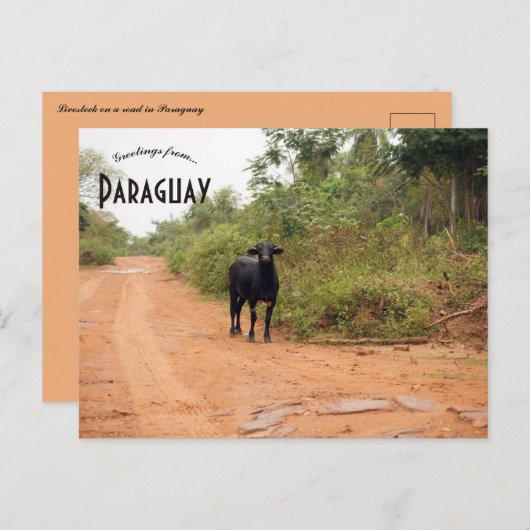 Carte Postale Livestock on a Road in Paraguay (Devant / Derrière)