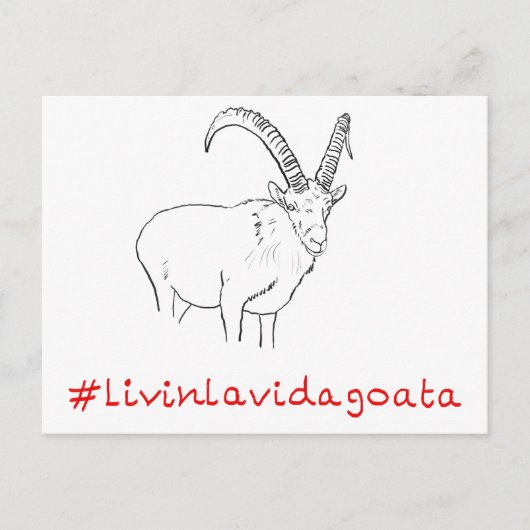 Carte Postale Livin La Vida Goata Drôle Chèvre slogan Art Design (Devant)