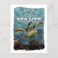 Carte postale Livin' Sea Life Turtle
