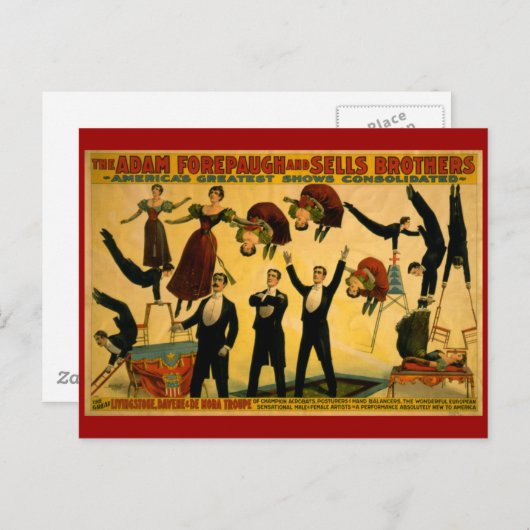 Carte Postale Livingstone Troupe Circus (Devant / Derrière)