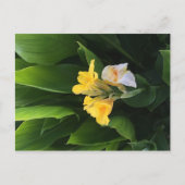 Carte Postale Livraison de fleurs (Devant)