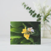 Carte Postale Livraison de fleurs (Debout devant)