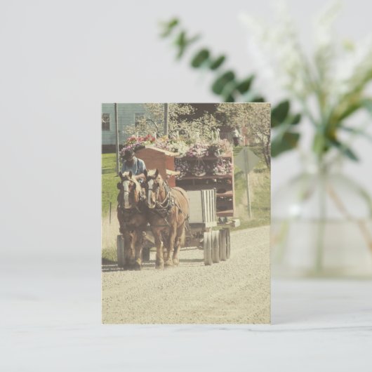 Carte Postale Livraison de fleurs Amish (Debout devant)