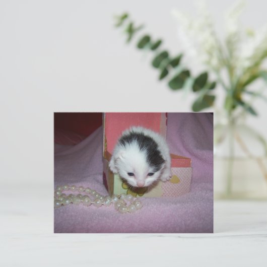 Carte Postale Livraison postale (Debout devant)