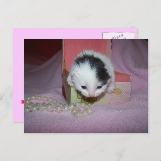 Carte Postale Livraison postale (Devant / Derrière)