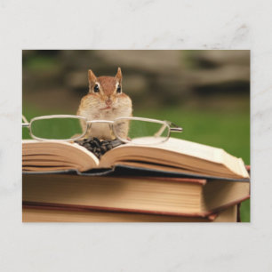 Carte Postale Livre amour chipmunk