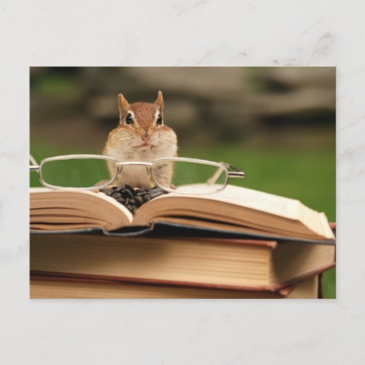 Carte Postale Livre amour chipmunk (Devant)