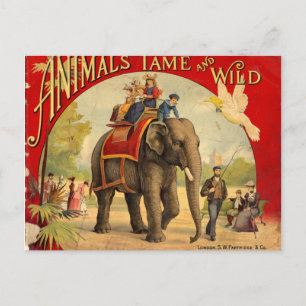 Carte Postale Livre rouge éléphant