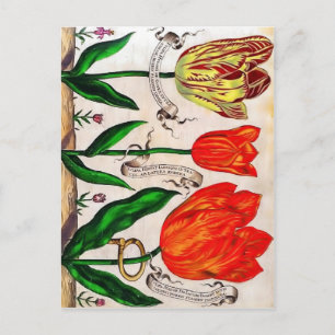 Carte postale Livres De Fleurs