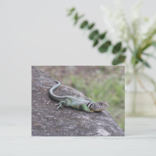 Carte Postale Lizard (Debout devant)