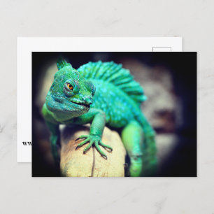 Carte Postale Lizard