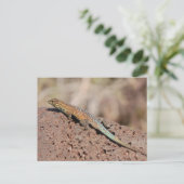 Carte Postale Lizard (Debout devant)