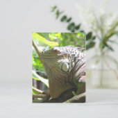 Carte Postale Lizard (Debout devant)