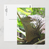 Carte Postale Lizard (Devant / Derrière)