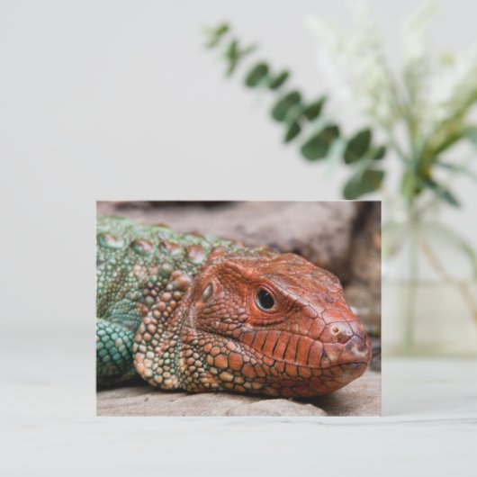 Carte Postale Lizard (Debout devant)