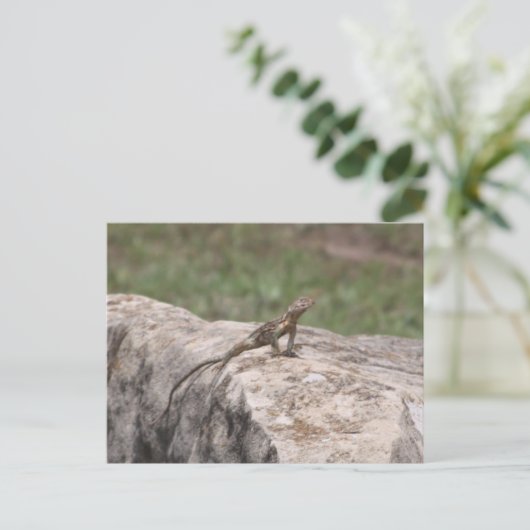 Carte Postale Lizard (Debout devant)