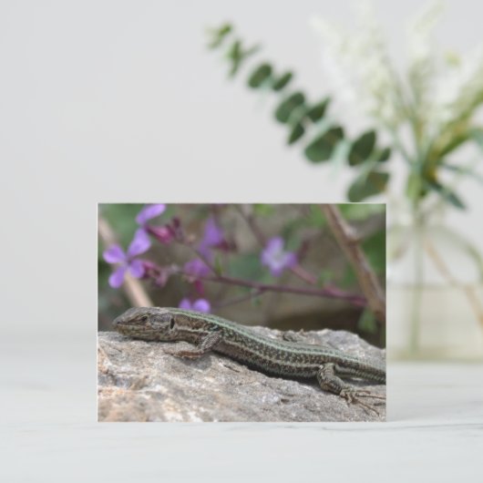 Carte postale Lizard (Debout devant)