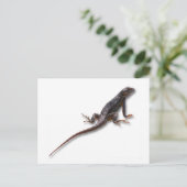 CARTE POSTALE LIZARD (Debout devant)