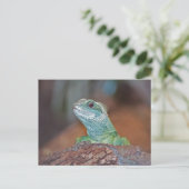 Carte postale Lizard (Debout devant)