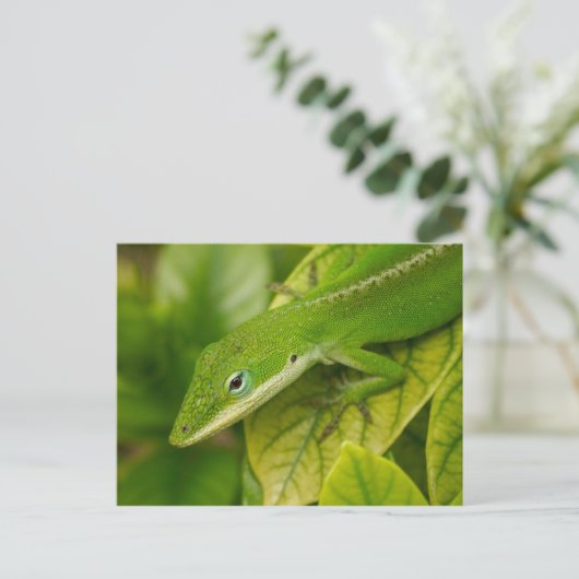 Carte postale Lizard 01 (Debout devant)