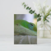 Carte Postale Lizard d'Anole Verte (Debout devant)