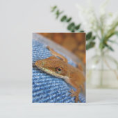Carte Postale Lizard d'Anole Verte (Debout devant)