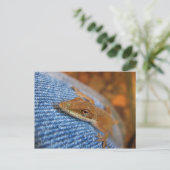 Carte Postale Lizard d'Anole Verte (Debout devant)