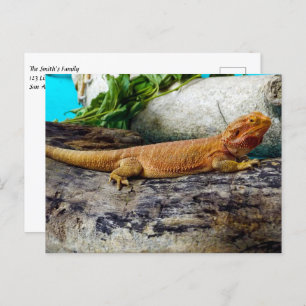 Carte Postale Lizard de dragon à tête adulte