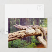Carte Postale Lizard de queue en grappes (Devant / Derrière)