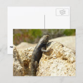 Carte Postale Lizard d'épinette à dos jaune à Joshua Tree (Devant / Derrière)