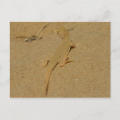 Carte Postale Lizard frange mojave (Devant)