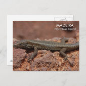 Carte Postale Lizard, Madère (Devant / Derrière)