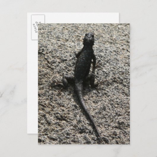 Carte Postale Lizard noir (Devant / Derrière)