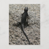 Carte Postale Lizard noir (Devant)