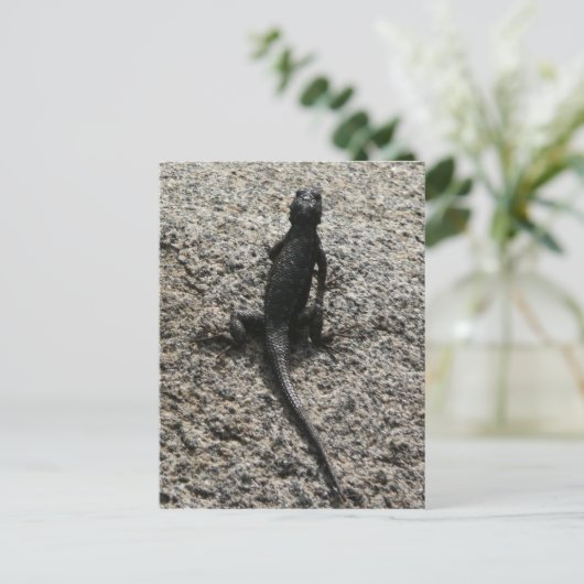 Carte Postale Lizard noir (Debout devant)