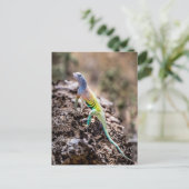 Carte Postale Lizard plus grand (Debout devant)