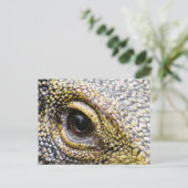 Carte postale Lizard pour moniteur de crocodile (Debout devant)
