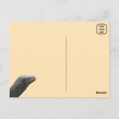 Carte postale Lizard pour moniteur de crocodile (Dos)