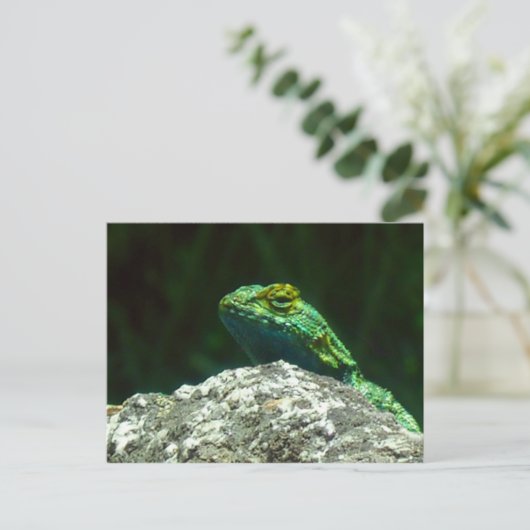 Carte Postale Lizz (Debout devant)