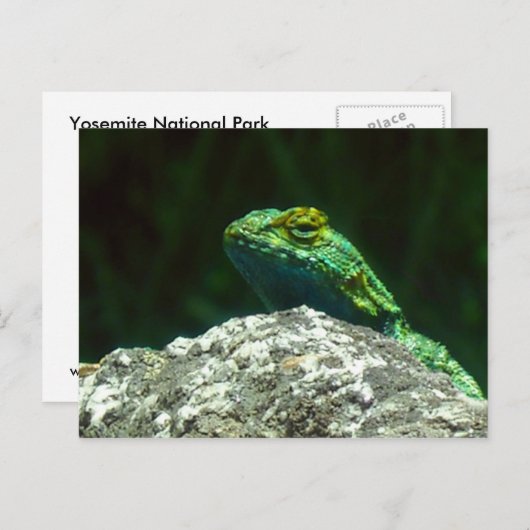 Carte Postale Lizz (Devant / Derrière)