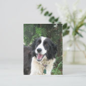 Carte Postale Lizzie (Debout devant)