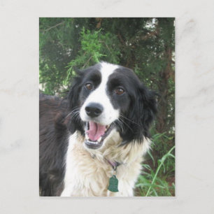 Carte Postale Lizzie