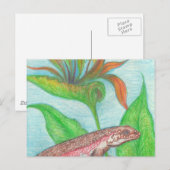 Carte postale Lizzzard (Devant / Derrière)