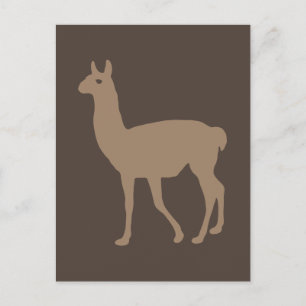 Carte Postale Llama